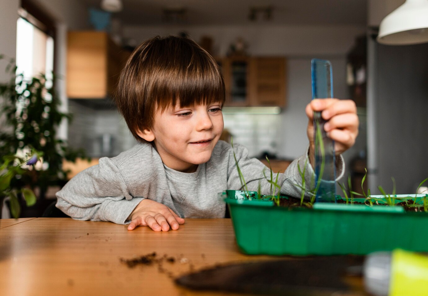 Comprar CBD México los niños pueden tomar cbd
